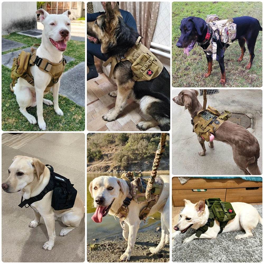 Dog Harness Collar Leash Set - Dabfavshop