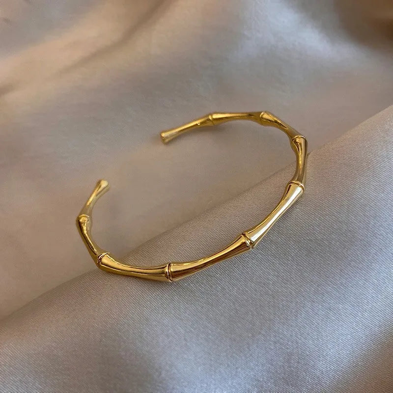 Titanium Steel Gold Silver Color Bracelet Dabfavshop