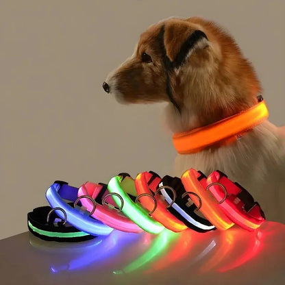 Dog Collar Nylon LED Night Safety Flashing Glow In The Dark Pet Dog Leash pet Dogs Luminous Fluorescent  dog accessories collar Dabfavshop