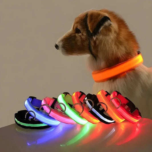 Dog Collar Nylon LED Night Safety Flashing Glow In The Dark Pet Dog Leash pet Dogs Luminous Fluorescent  dog accessories collar Dabfavshop