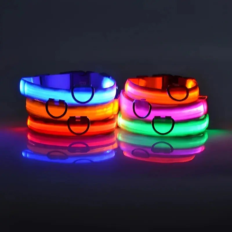 Dog Collar Nylon LED Night Safety Flashing Glow In The Dark Pet Dog Leash pet Dogs Luminous Fluorescent  dog accessories collar Dabfavshop