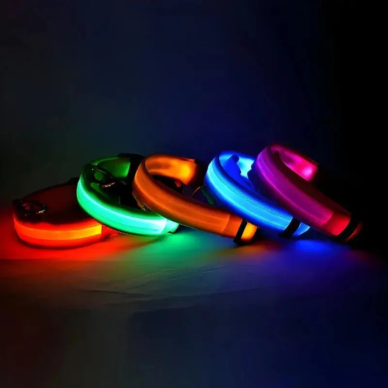 Dog Collar Nylon LED Night Safety Flashing Glow In The Dark Pet Dog Leash pet Dogs Luminous Fluorescent  dog accessories collar Dabfavshop