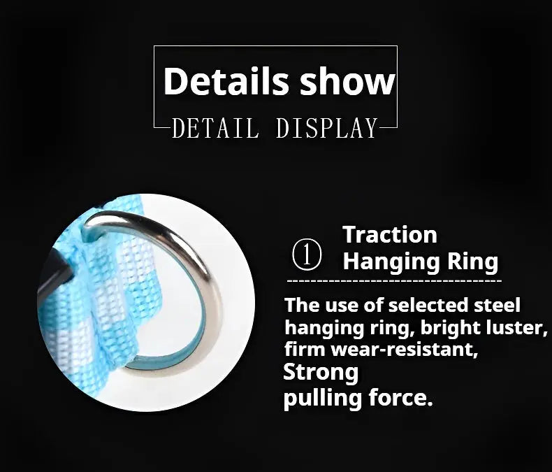 Dog Collar Nylon LED Night Safety Flashing Glow In The Dark Pet Dog Leash pet Dogs Luminous Fluorescent  dog accessories collar Dabfavshop