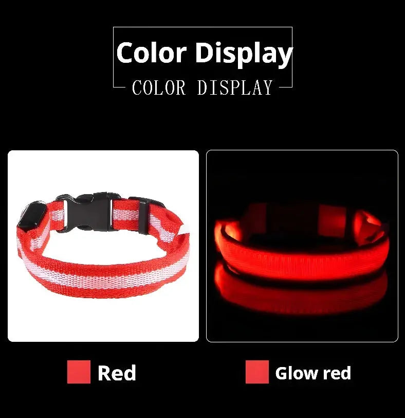 Dog Collar Nylon LED Night Safety Flashing Glow In The Dark Pet Dog Leash pet Dogs Luminous Fluorescent  dog accessories collar Dabfavshop