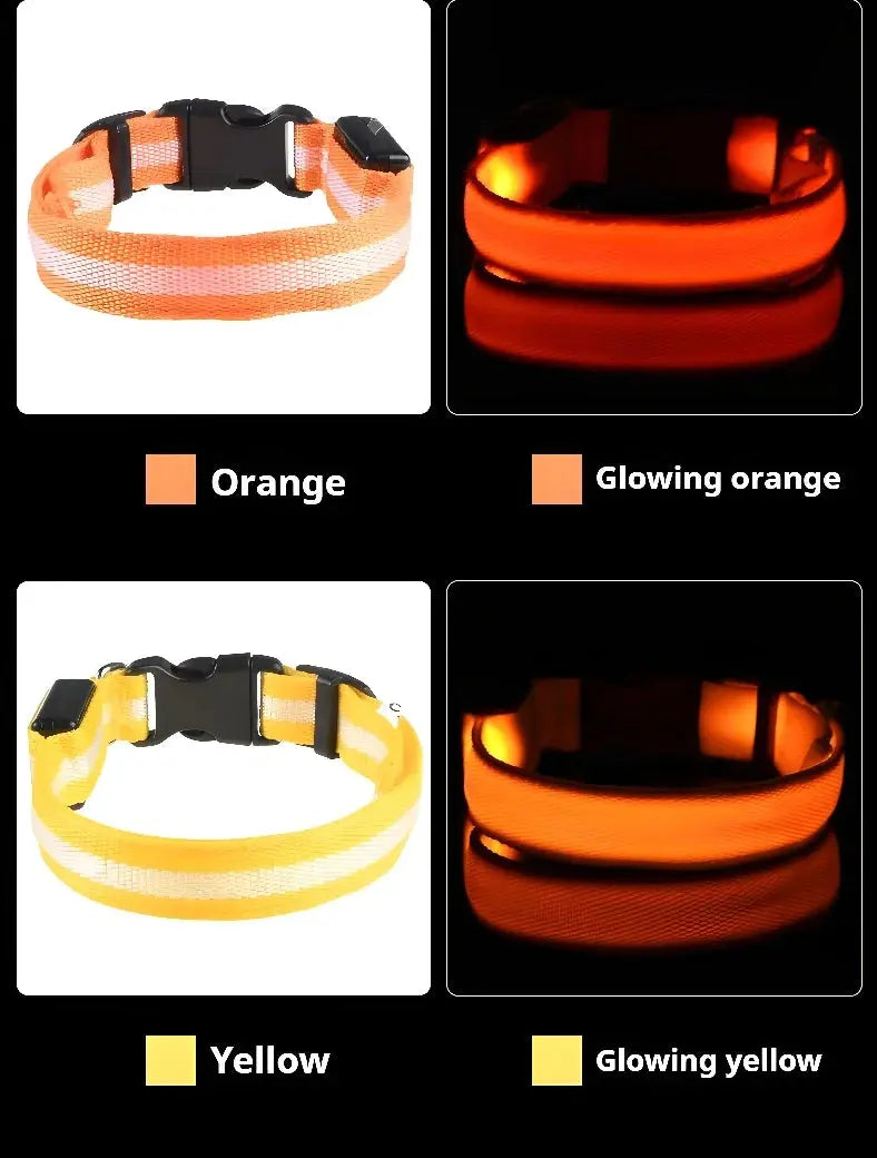 Dog Collar Nylon LED Night Safety Flashing Glow In The Dark Pet Dog Leash pet Dogs Luminous Fluorescent  dog accessories collar Dabfavshop