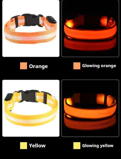 Dog Collar Nylon LED Night Safety Flashing Glow In The Dark Pet Dog Leash pet Dogs Luminous Fluorescent  dog accessories collar Dabfavshop