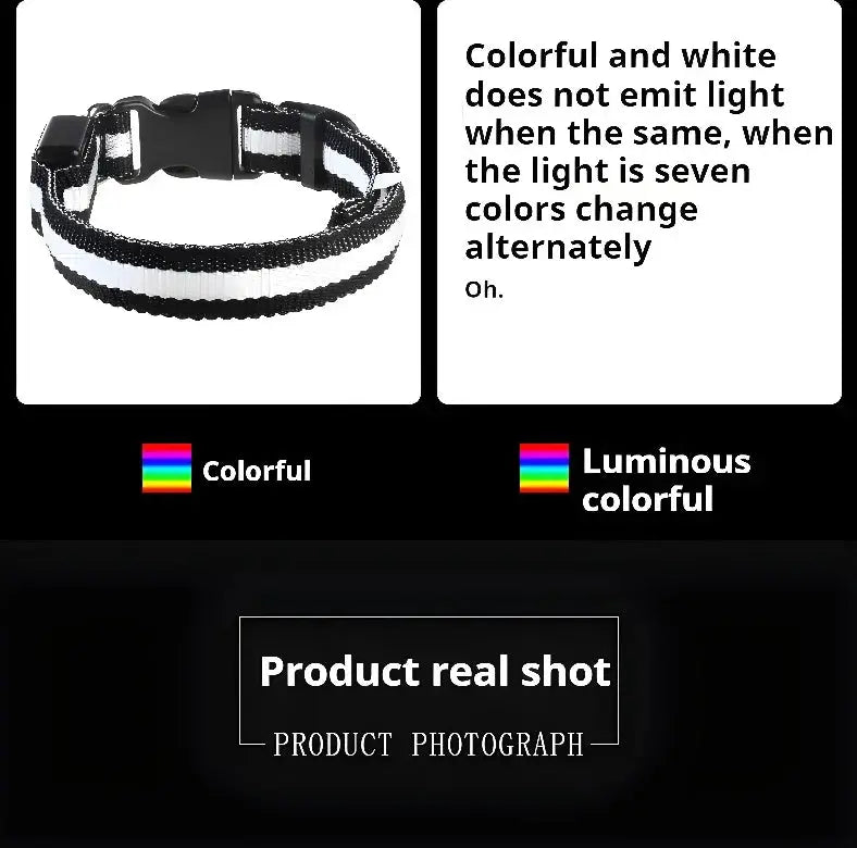 Dog Collar Nylon LED Night Safety Flashing Glow In The Dark Pet Dog Leash pet Dogs Luminous Fluorescent  dog accessories collar Dabfavshop