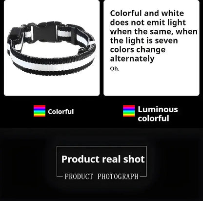 Dog Collar Nylon LED Night Safety Flashing Glow In The Dark Pet Dog Leash pet Dogs Luminous Fluorescent  dog accessories collar Dabfavshop