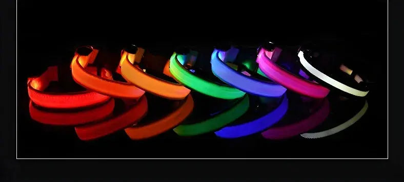 Dog Collar Nylon LED Night Safety Flashing Glow In The Dark Pet Dog Leash pet Dogs Luminous Fluorescent  dog accessories collar Dabfavshop
