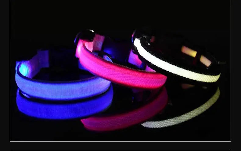 Dog Collar Nylon LED Night Safety Flashing Glow In The Dark Pet Dog Leash pet Dogs Luminous Fluorescent  dog accessories collar Dabfavshop