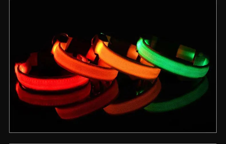 Dog Collar Nylon LED Night Safety Flashing Glow In The Dark Pet Dog Leash pet Dogs Luminous Fluorescent  dog accessories collar Dabfavshop