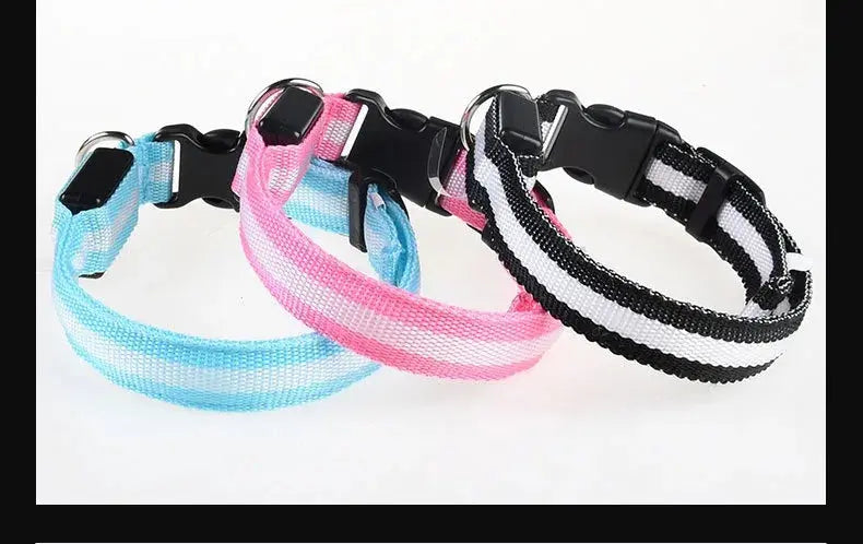 Dog Collar Nylon LED Night Safety Flashing Glow In The Dark Pet Dog Leash pet Dogs Luminous Fluorescent  dog accessories collar Dabfavshop