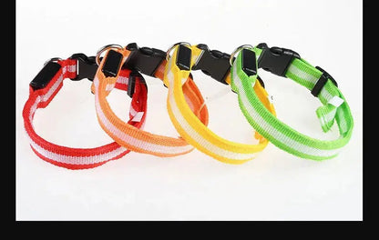 Dog Collar Nylon LED Night Safety Flashing Glow In The Dark Pet Dog Leash pet Dogs Luminous Fluorescent  dog accessories collar Dabfavshop