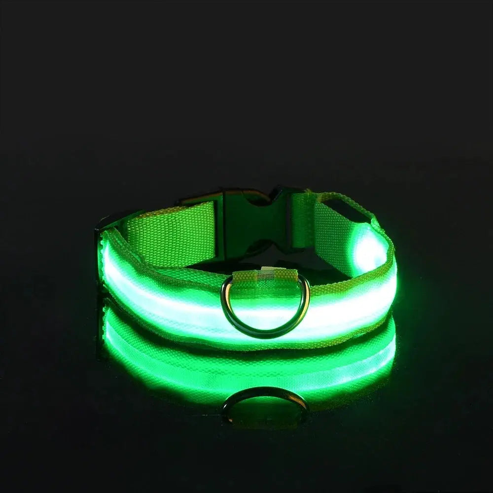 Dog Collar Nylon LED Night Safety Flashing Glow In The Dark Pet Dog Leash pet Dogs Luminous Fluorescent  dog accessories collar Dabfavshop