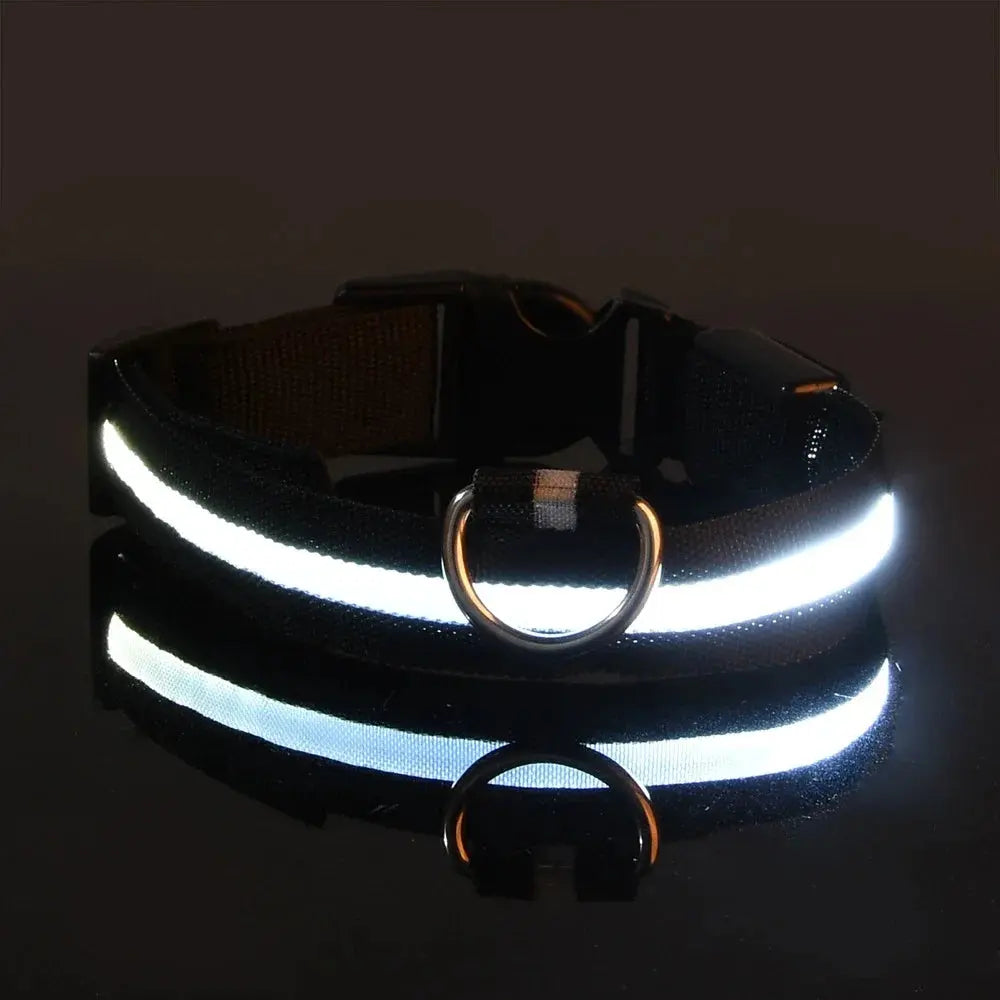 Dog Collar Nylon LED Night Safety Flashing Glow In The Dark Pet Dog Leash pet Dogs Luminous Fluorescent  dog accessories collar Dabfavshop