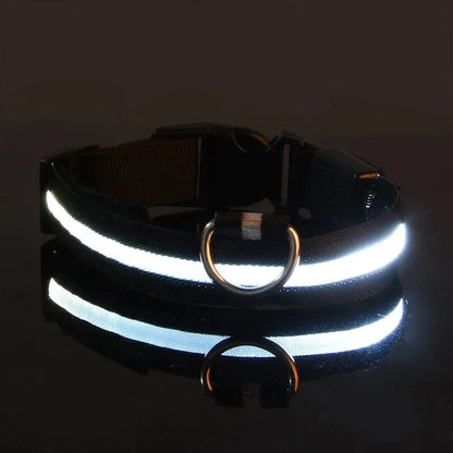 Dog Collar Nylon LED Night Safety Flashing Glow In The Dark Pet Dog Leash pet Dogs Luminous Fluorescent  dog accessories collar Dabfavshop