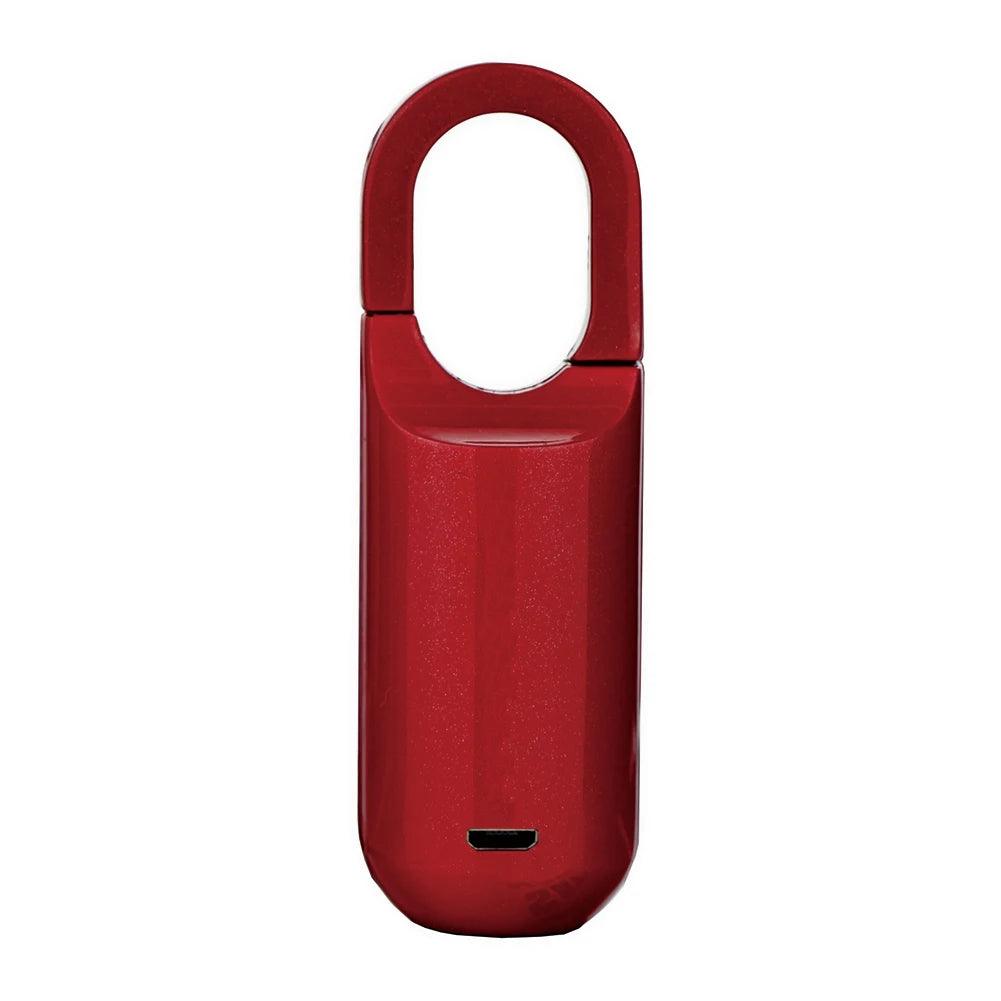 Mini Fingerprint Padlock Smart Touch - Dabfavshop