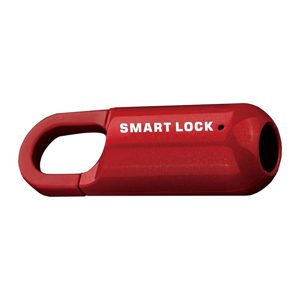 Mini Fingerprint Padlock Smart Touch - Dabfavshop