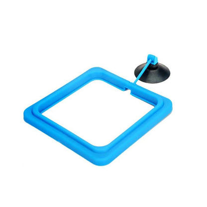 Fish Food Feeding Ring - Dabfavshop