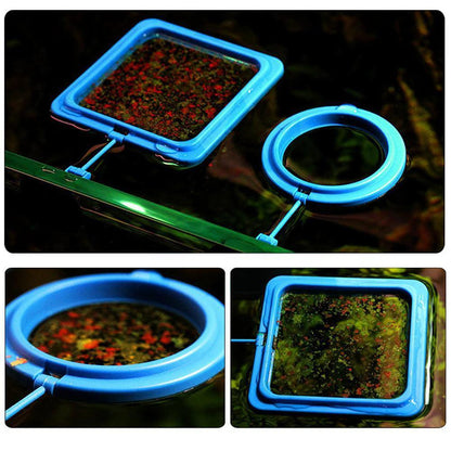 Fish Food Feeding Ring - Dabfavshop