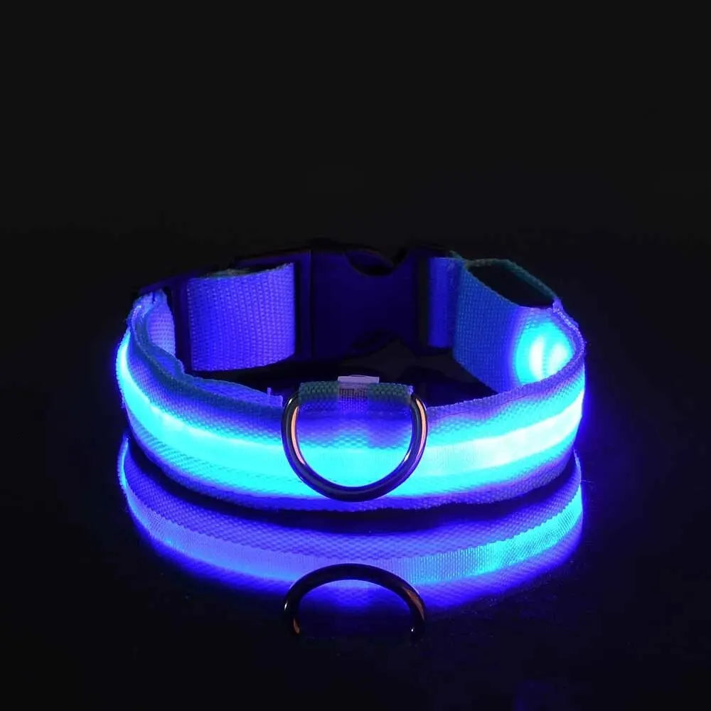 Dog Collar Nylon LED Night Safety Flashing Glow In The Dark Pet Dog Leash pet Dogs Luminous Fluorescent  dog accessories collar Dabfavshop