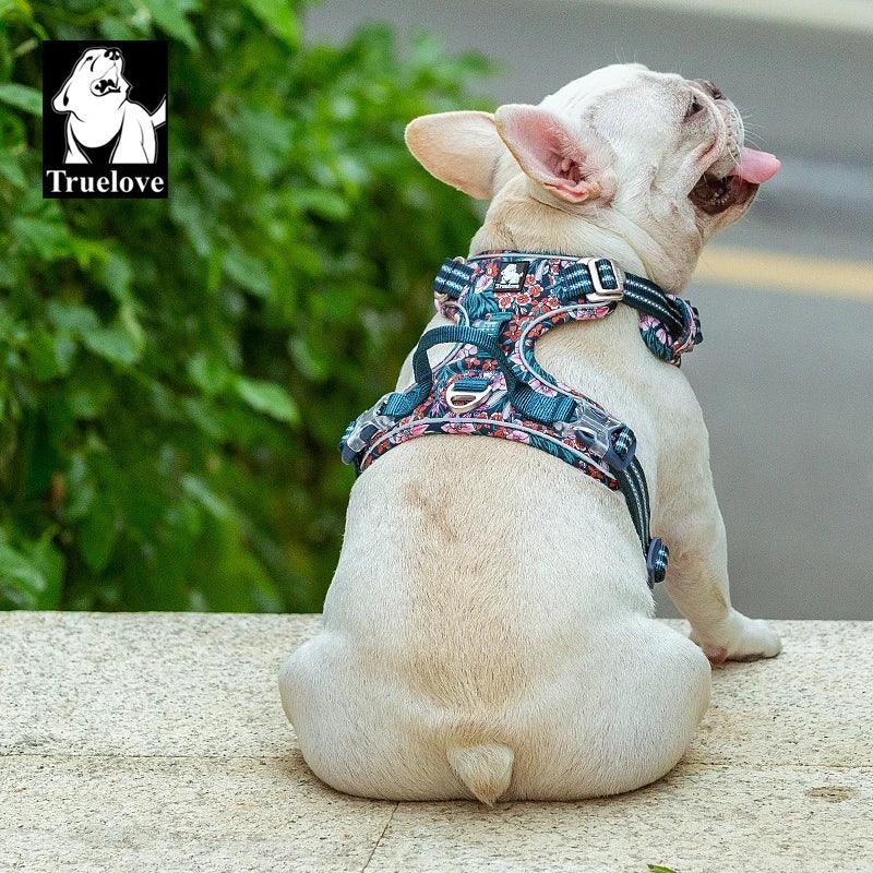 Truelove Luxury Cute Pet Harness - Dabfavshop