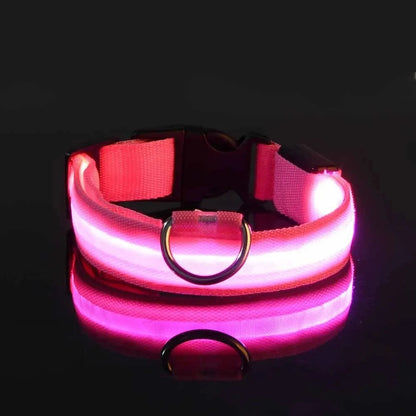 Dog Collar Nylon LED Night Safety Flashing Glow In The Dark Pet Dog Leash pet Dogs Luminous Fluorescent  dog accessories collar Dabfavshop