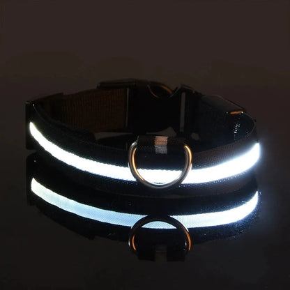 Dog Collar Nylon LED Night Safety Flashing Glow In The Dark Pet Dog Leash pet Dogs Luminous Fluorescent  dog accessories collar Dabfavshop