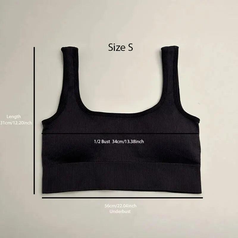 Yoga Basic Seamless Breathable 3pcs Ribbed Knit Solid Sports Bra - Dabfavshop