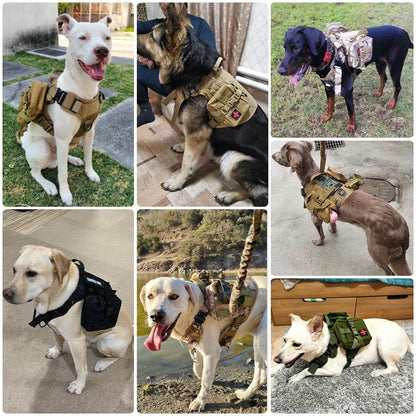 Dog Harness Collar Leash Set - Dabfavshop