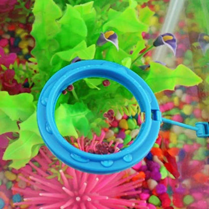 Fish Food Feeding Ring - Dabfavshop