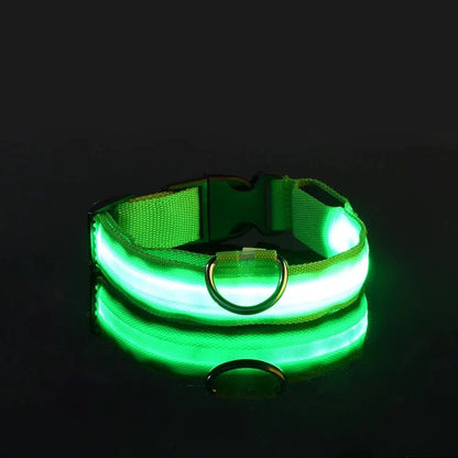 Dog Collar Nylon LED Night Safety Flashing Glow In The Dark Pet Dog Leash pet Dogs Luminous Fluorescent  dog accessories collar Dabfavshop