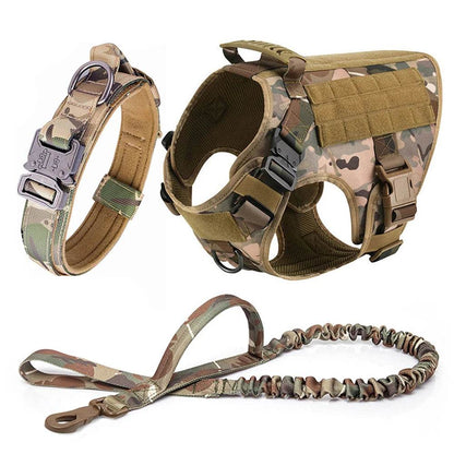 Dog Harness Collar Leash Set - Dabfavshop