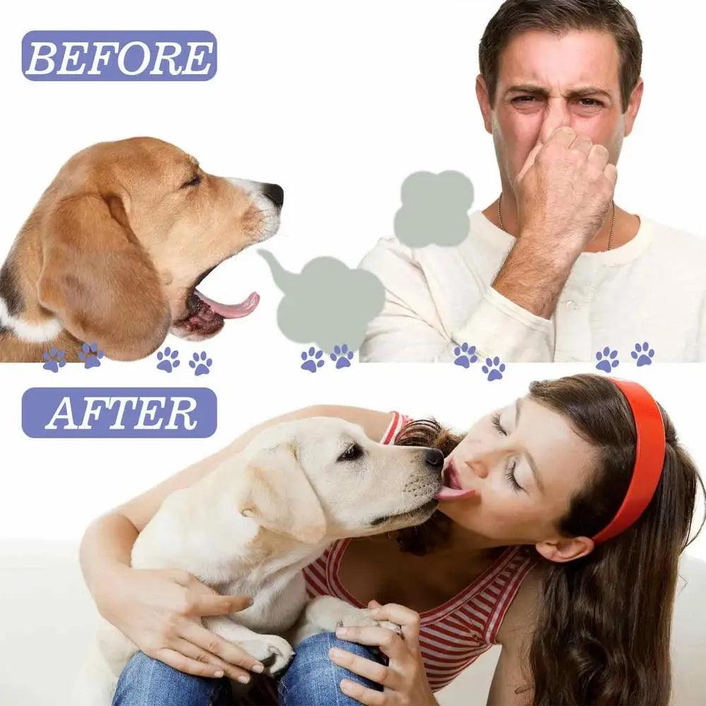 50ml Pet Oral Cleanse Spray For Bad Breath - Dabfavshop