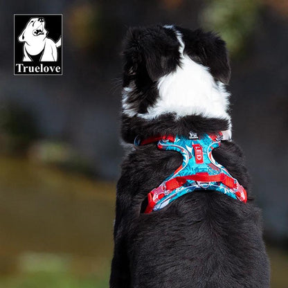 Truelove Luxury Cute Pet Harness - Dabfavshop