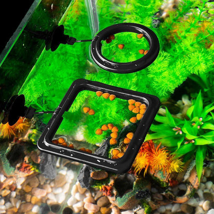 Fish Food Feeding Ring - Dabfavshop