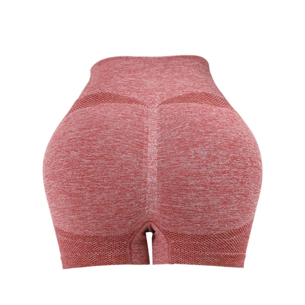 Women Yoga Shorts High Waist Sportswear - Dabfavshop