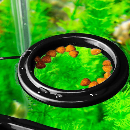 Fish Food Feeding Ring - Dabfavshop