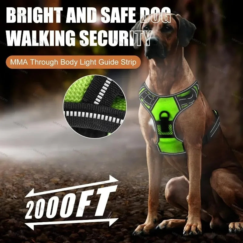 LED Luminous Dog Harnesses for Dog Walking Safety At Night USB Rechargeable Dog Vest with Three LED Light Modes Dabfavshop
