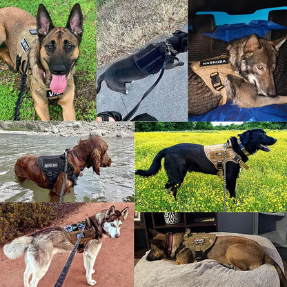 Large Dog Harness And Leash Set Pet German Shepherd Malinois Training Walking Vest Dog Harness And Collar For Medium Large Dogs Dabfavshop