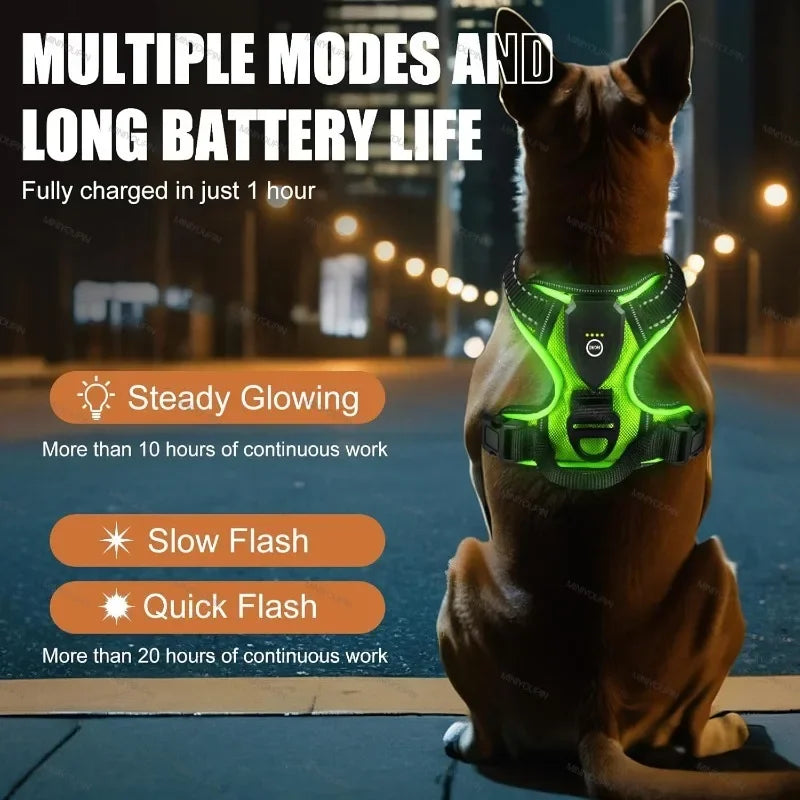 LED Luminous Dog Harnesses for Dog Walking Safety At Night USB Rechargeable Dog Vest with Three LED Light Modes Dabfavshop
