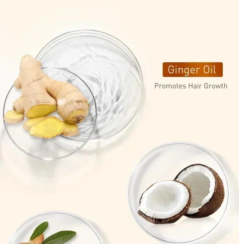 Ginger Fast Hair Loss Treatment Biotin Hair Growth Oil - Dabfavshop