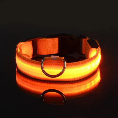 Dog Collar Nylon LED Night Safety Flashing Glow In The Dark Pet Dog Leash pet Dogs Luminous Fluorescent  dog accessories collar Dabfavshop