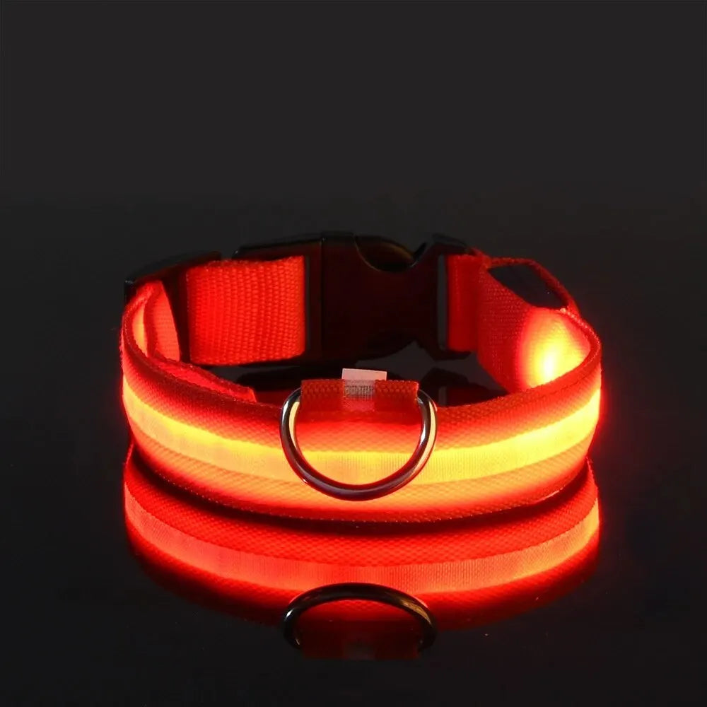 Dog Collar Nylon LED Night Safety Flashing Glow In The Dark Pet Dog Leash pet Dogs Luminous Fluorescent  dog accessories collar Dabfavshop