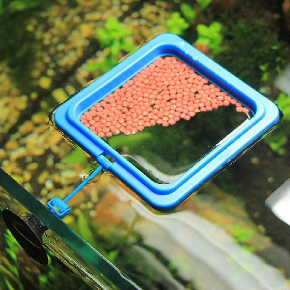 Fish Food Feeding Ring - Dabfavshop