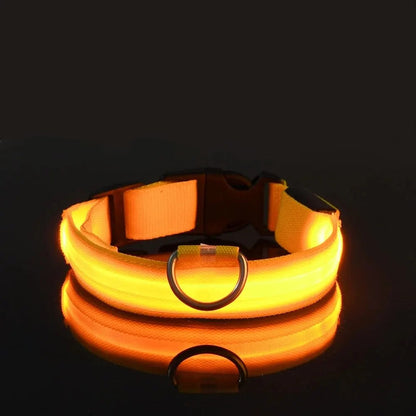 Dog Collar Nylon LED Night Safety Flashing Glow In The Dark Pet Dog Leash pet Dogs Luminous Fluorescent  dog accessories collar Dabfavshop