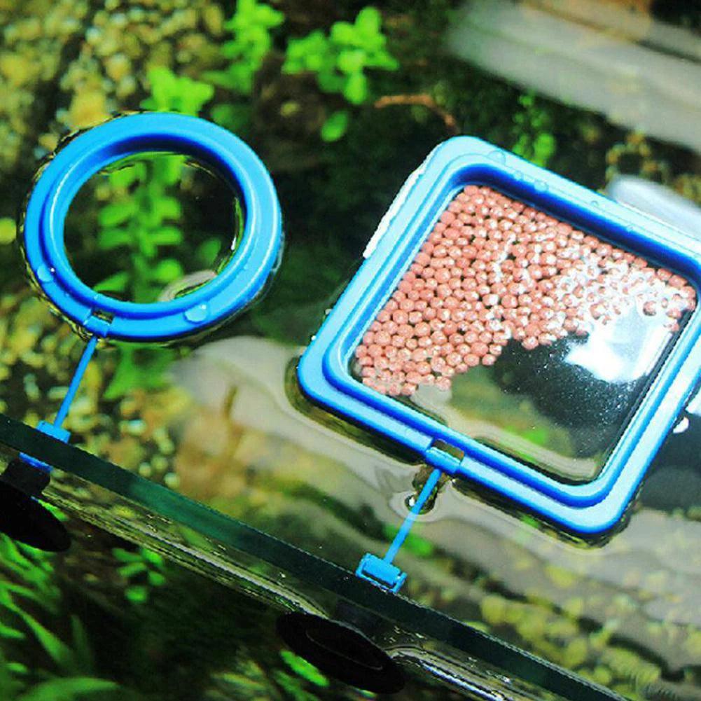 Fish Food Feeding Ring - Dabfavshop