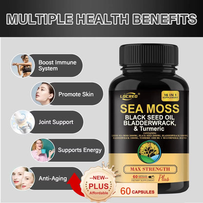 16-in-1 Joint Support Capsules - Sea Moss & Turmeric Blend - Dabfavshop